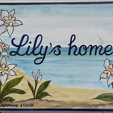 Lily'S Home Lacco Ameno  Eksteriør billede